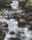 nature sounds