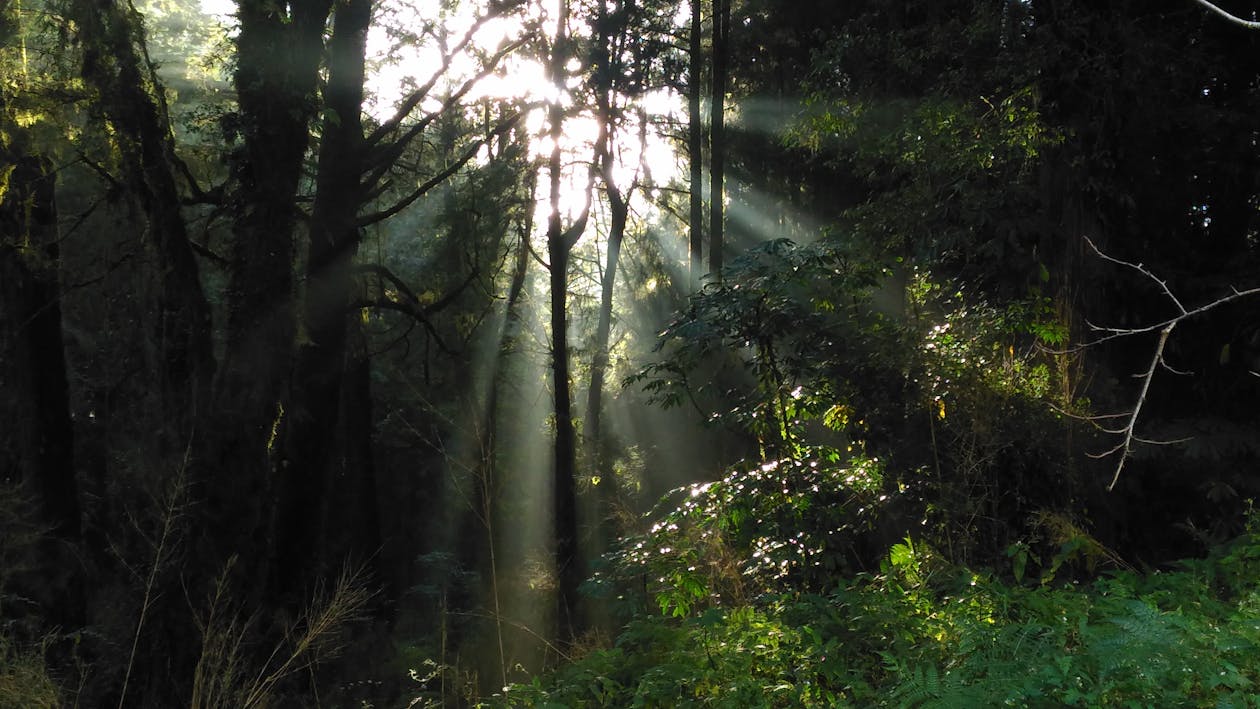 Ryanair與Starlink合作轉折:2026年衛星WiFi如何重塑廉航乘客體驗與航空產業鏈? Ryanair與Starlink合作轉折:2026年衛星WiFi如何重塑廉航乘客體驗與航空產業鏈?