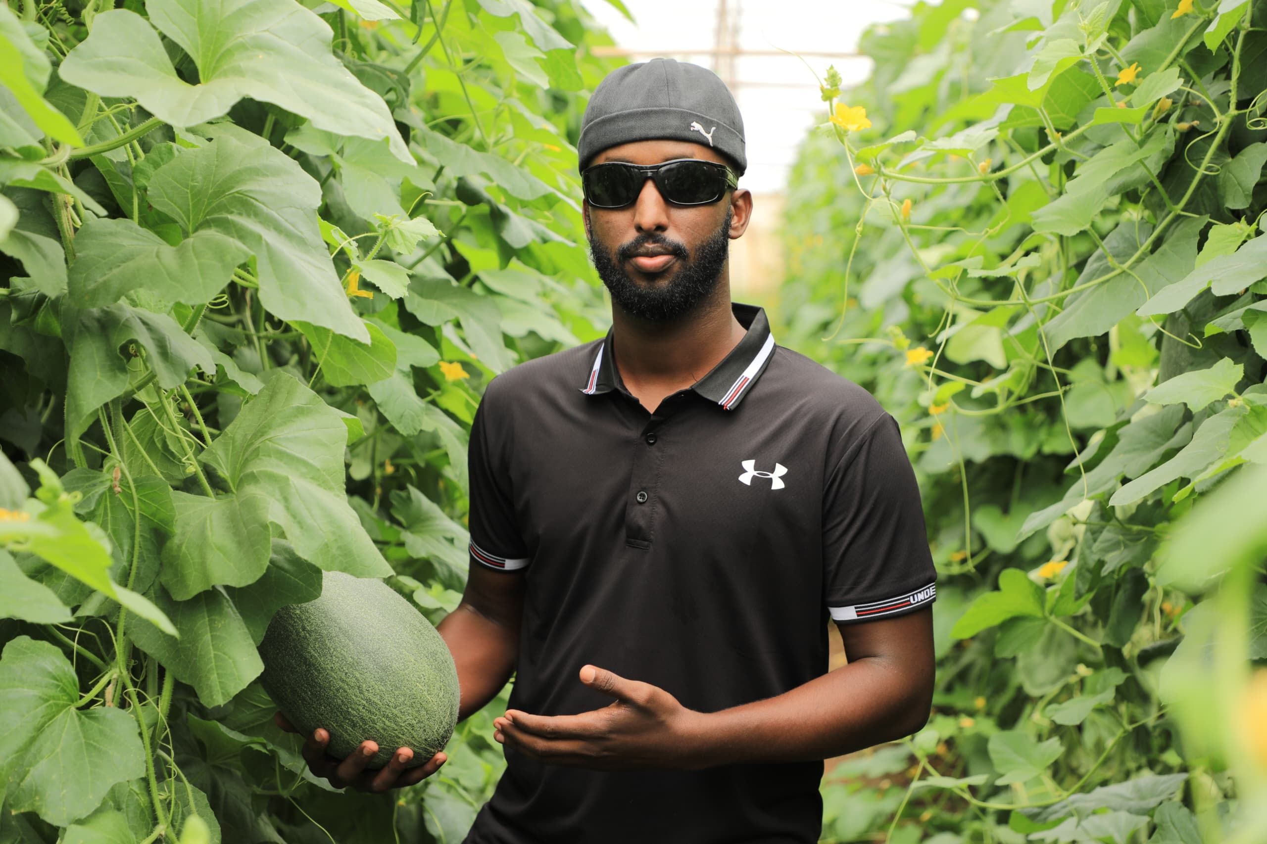Farm inputs get squeezed