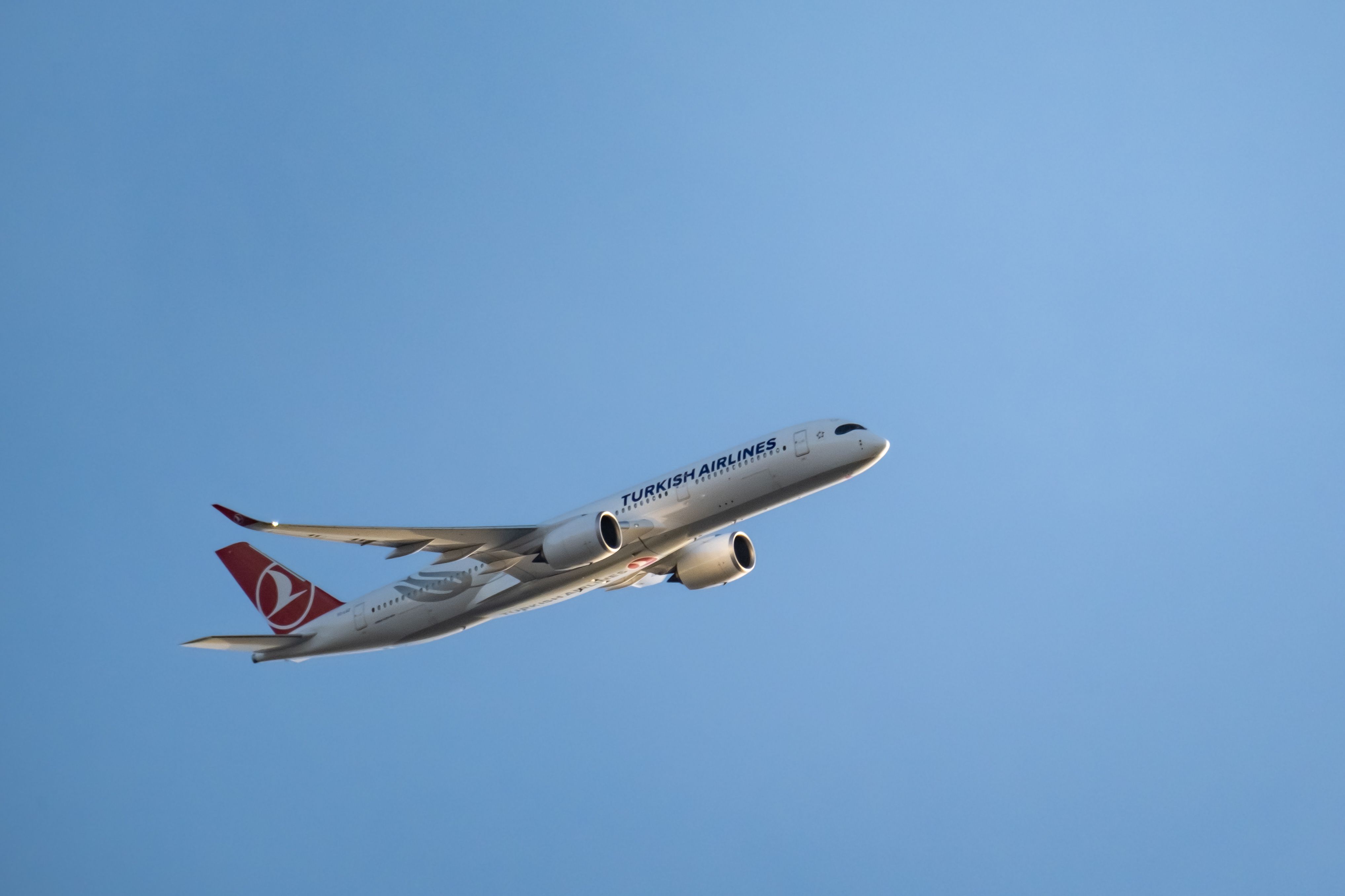 6 Best Ways To Use 100,000 American Airlines Miles For Maximum Value — Photo by İrfan Simsar on Pexels