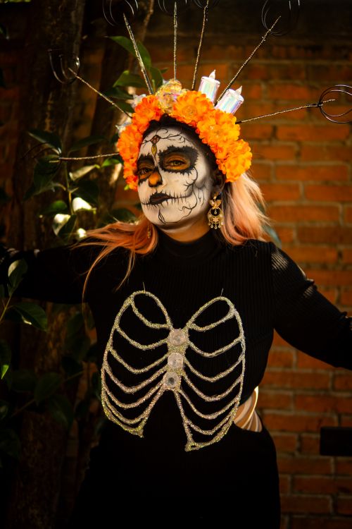 Free Colorful Catrina with skeletal makeup and floral headdress, celebrating Day of the Dead in Mexico. Stock Photo