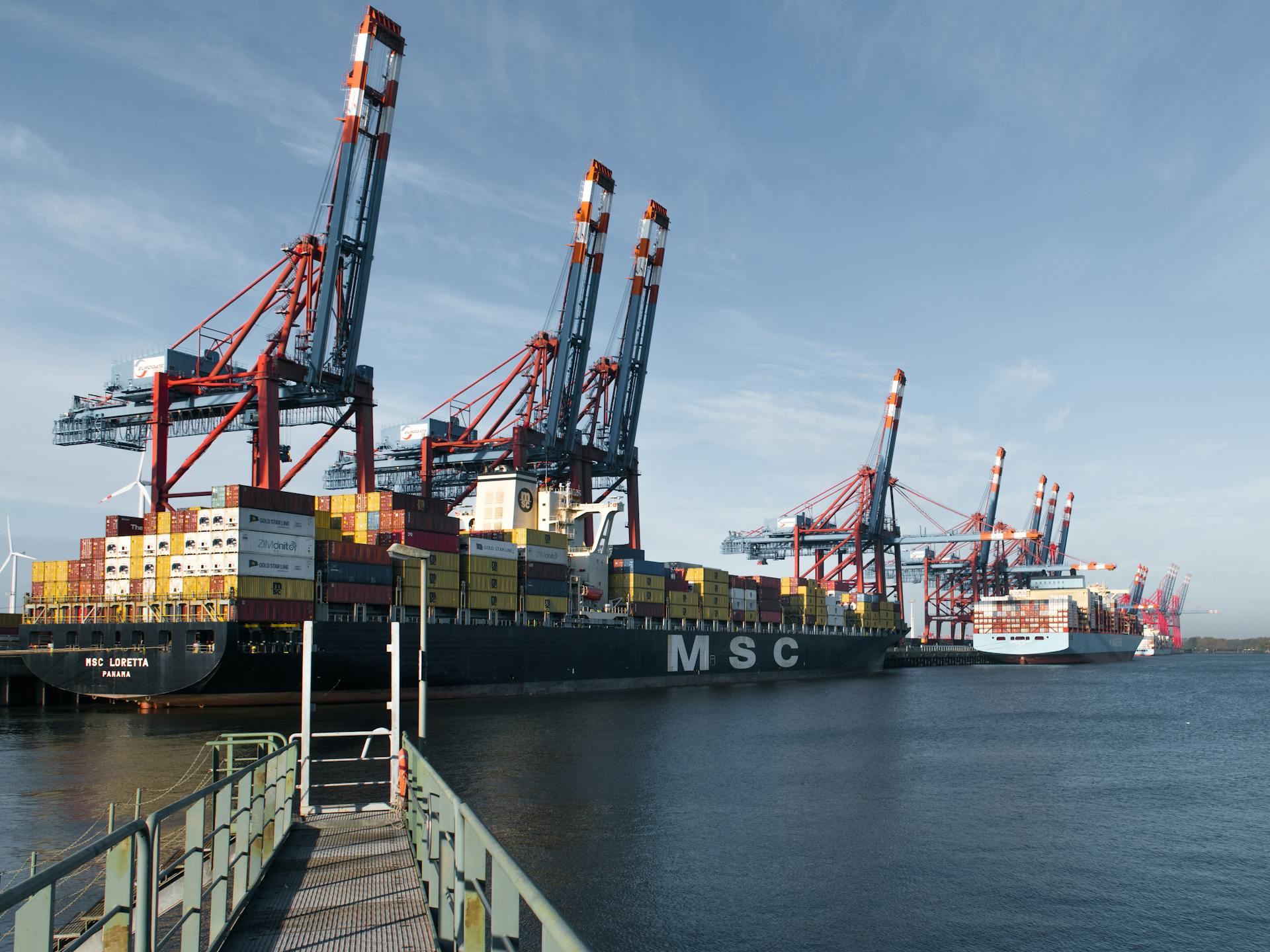 Container Ships at Hamburg Port with Cranes