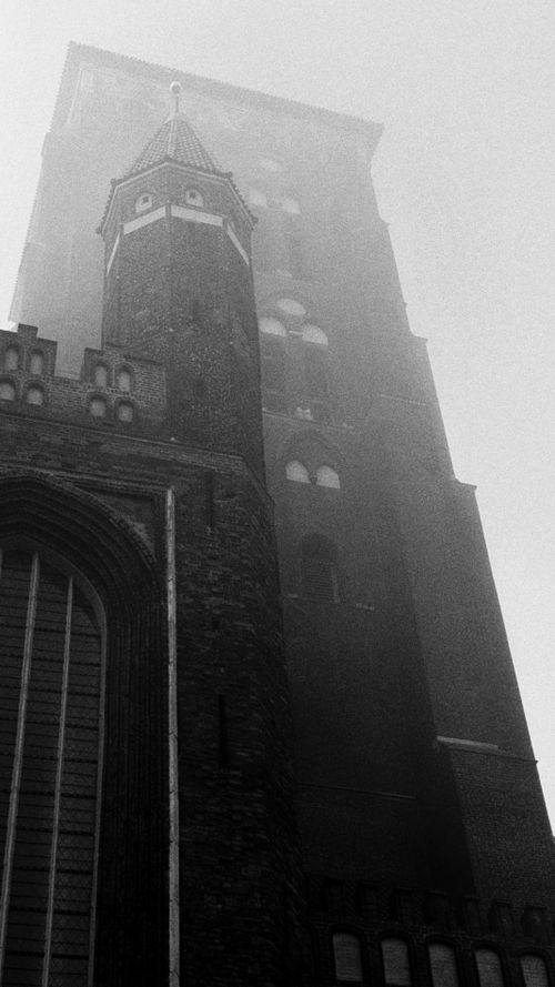 Free A towering gothic structure emerges from thick fog, creating an eerie atmosphere. Stock Photo