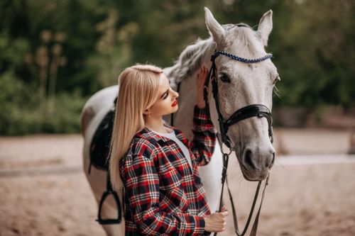 Free A woman in plaid interacts with a white horse outdoors, conveying tranquility and connection. Stock Photo