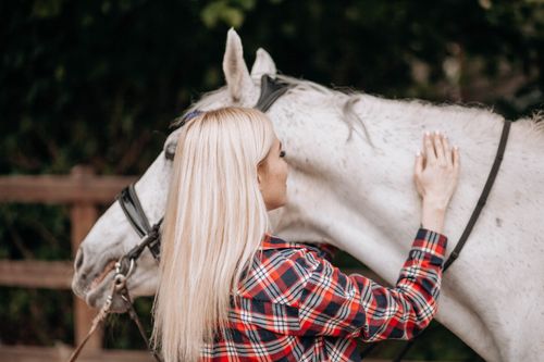 Free A woman in plaid interacts lovingly with a white horse outdoors, fostering connection. Stock Photo
