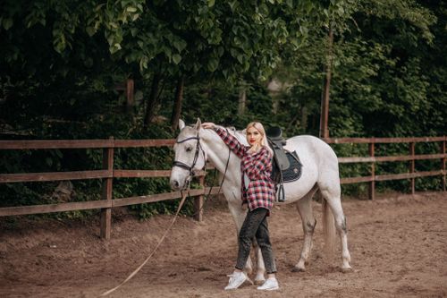 Free Stylish woman in plaid shirt standing with white horse in outdoor riding arena. Stock Photo