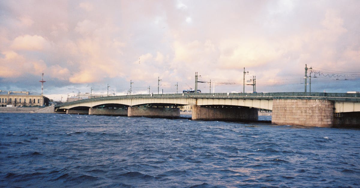 政治:鄭麗文的DNA!探索她如何影響台灣文化與社會變革