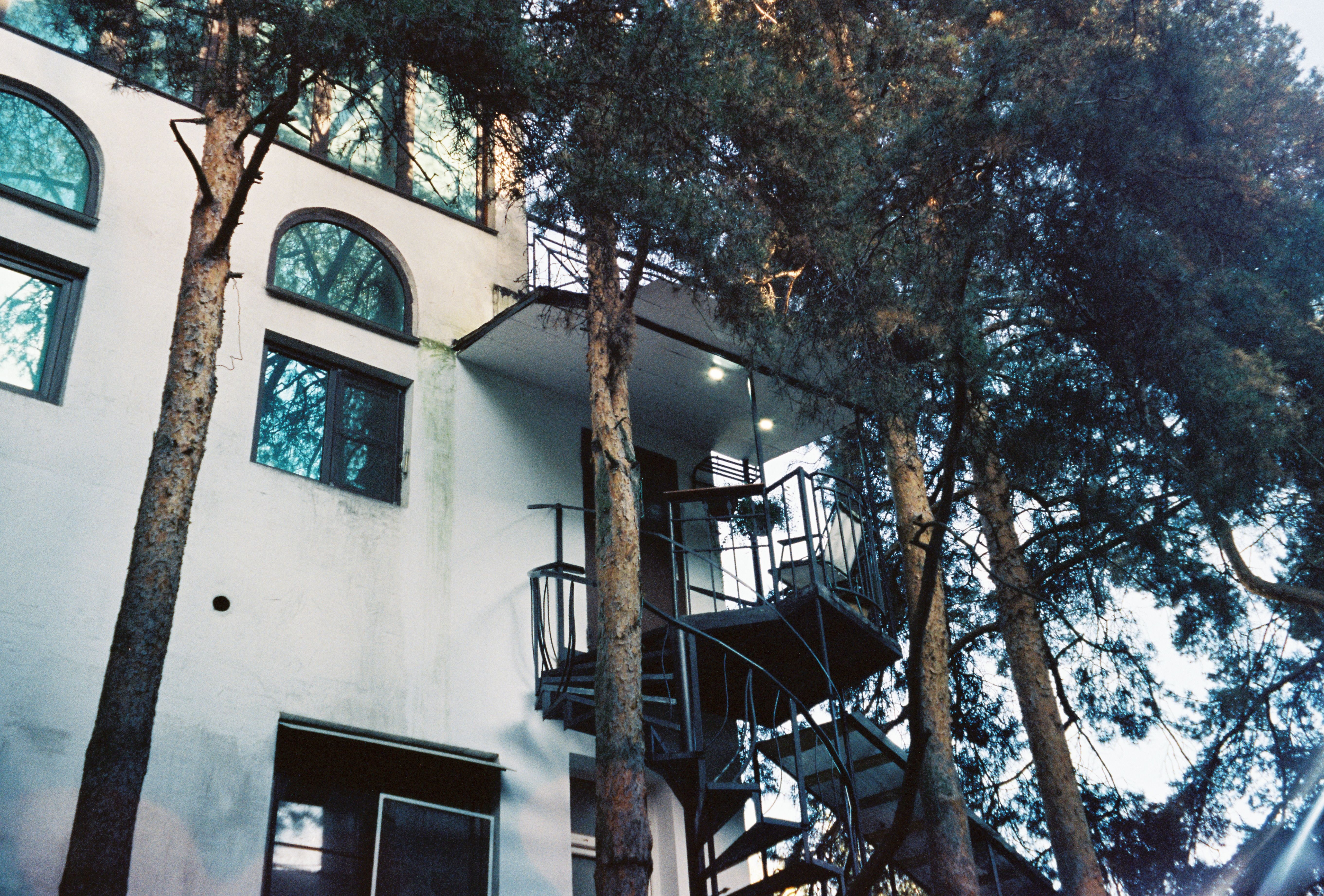 A stylish house exterior with a spiral staircase nestled among tall pine trees, perfect for nature-themed projects.