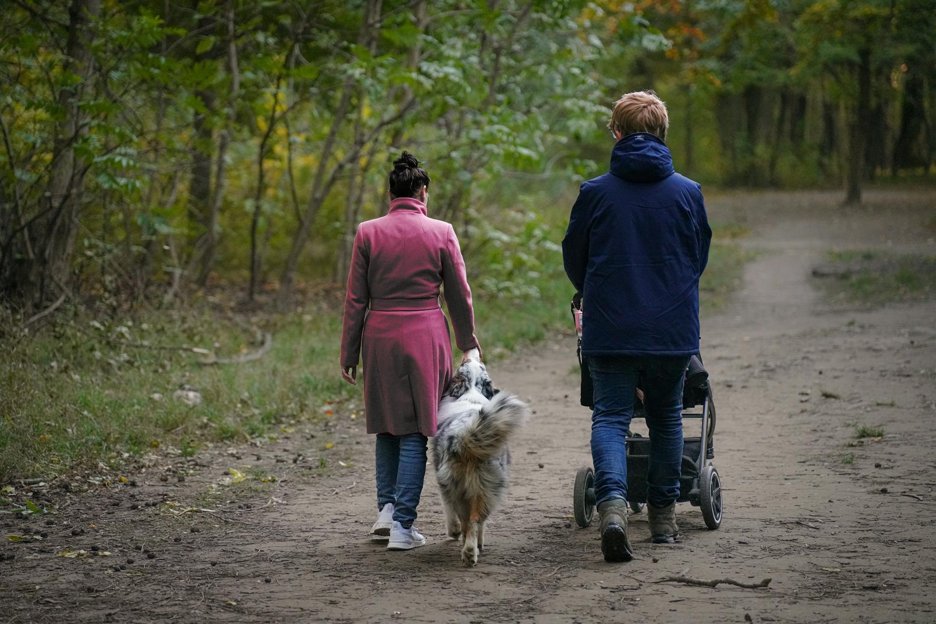 Family walking in forest with dog and stroller