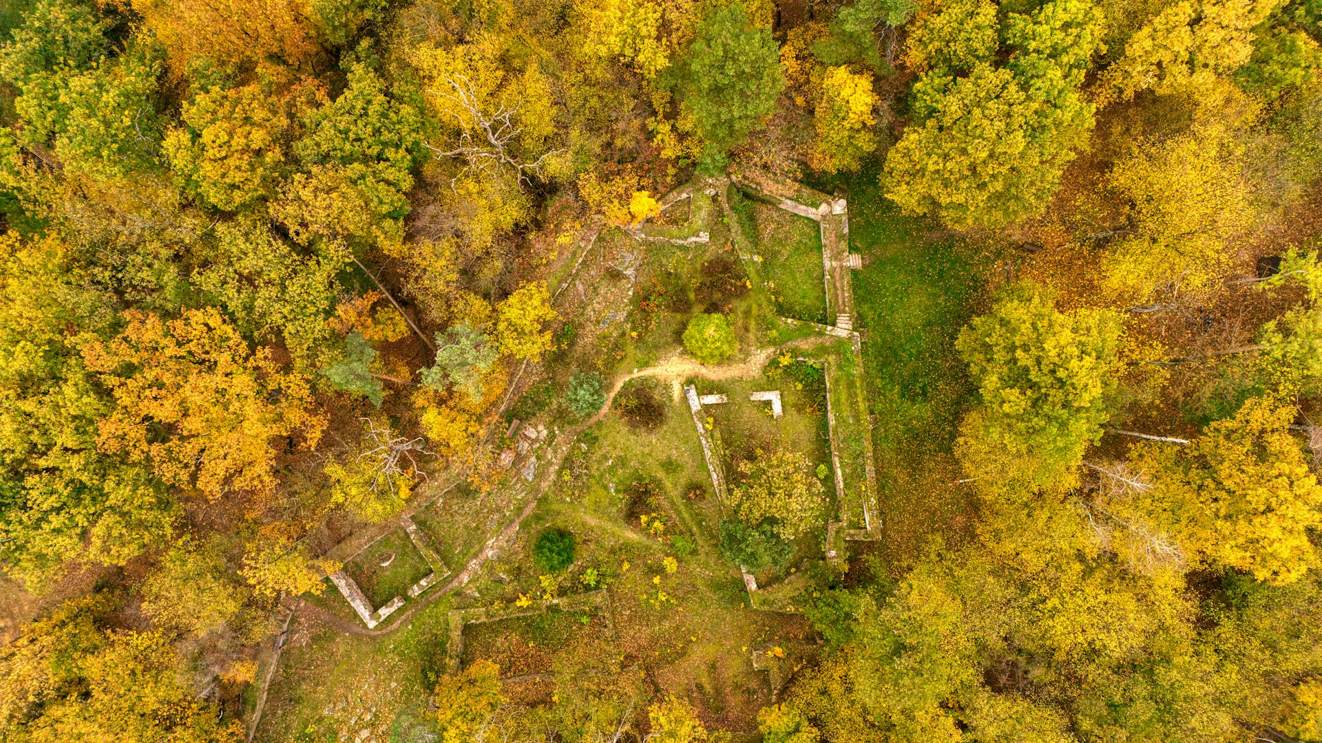 Aerial View of Autumn Forest Ruins in Czech Republic