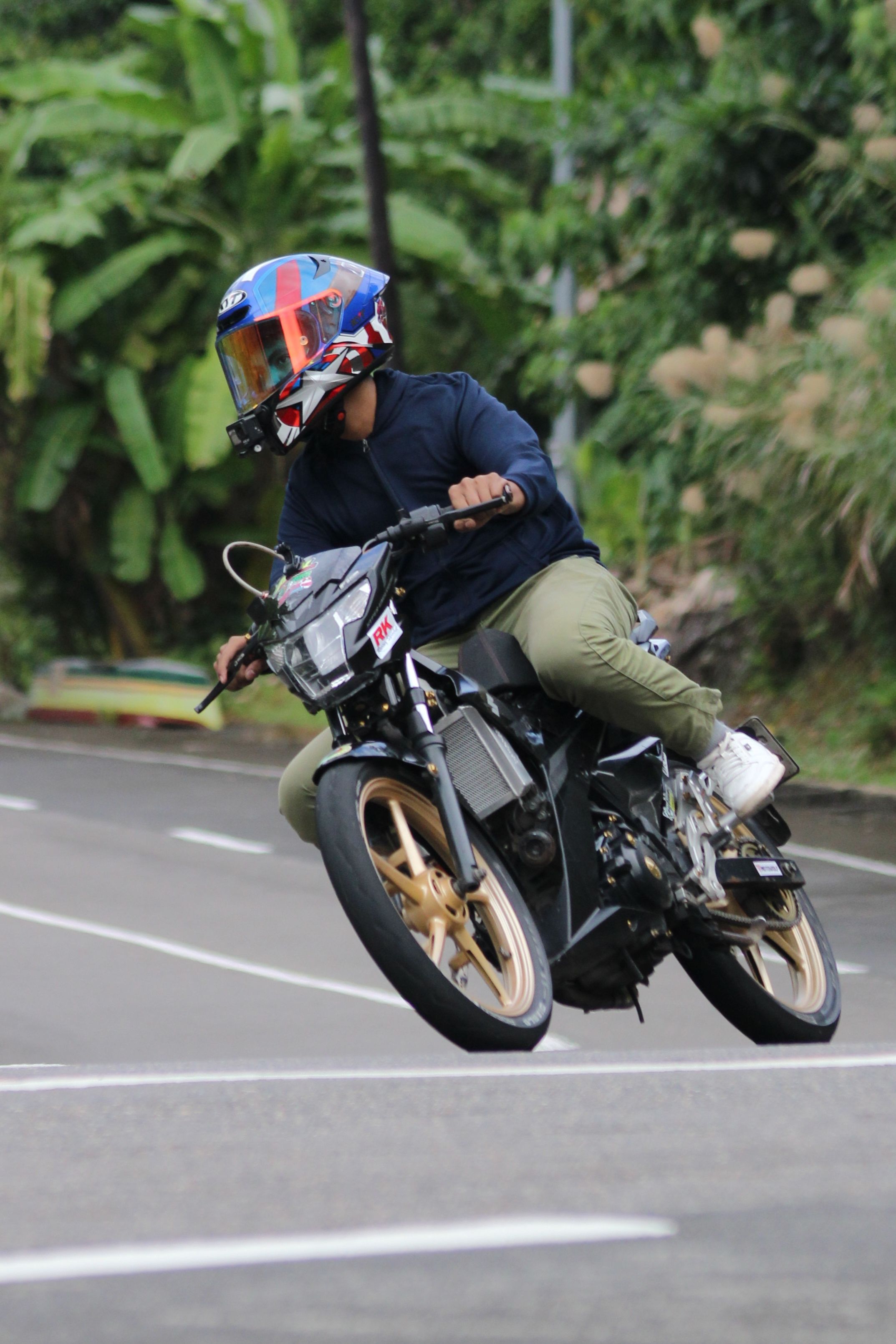 Motorcyclist expertly leans into a corner on a curvy road surrounded by greenery.