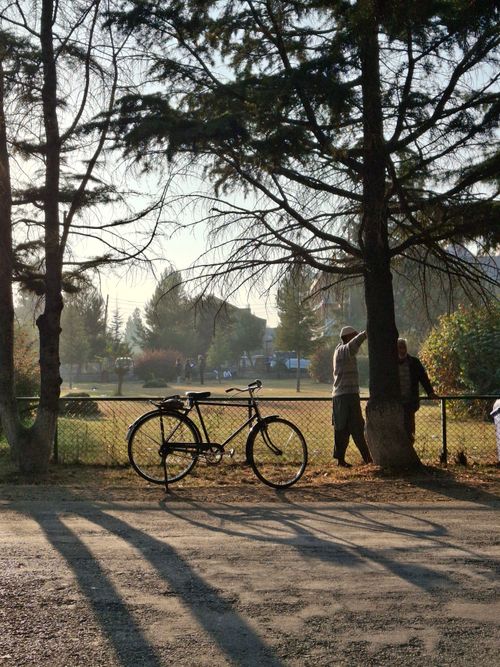 Free A solitary bicycle rests against a tree in a serene urban park, with people interacting in the background. Stock Photo