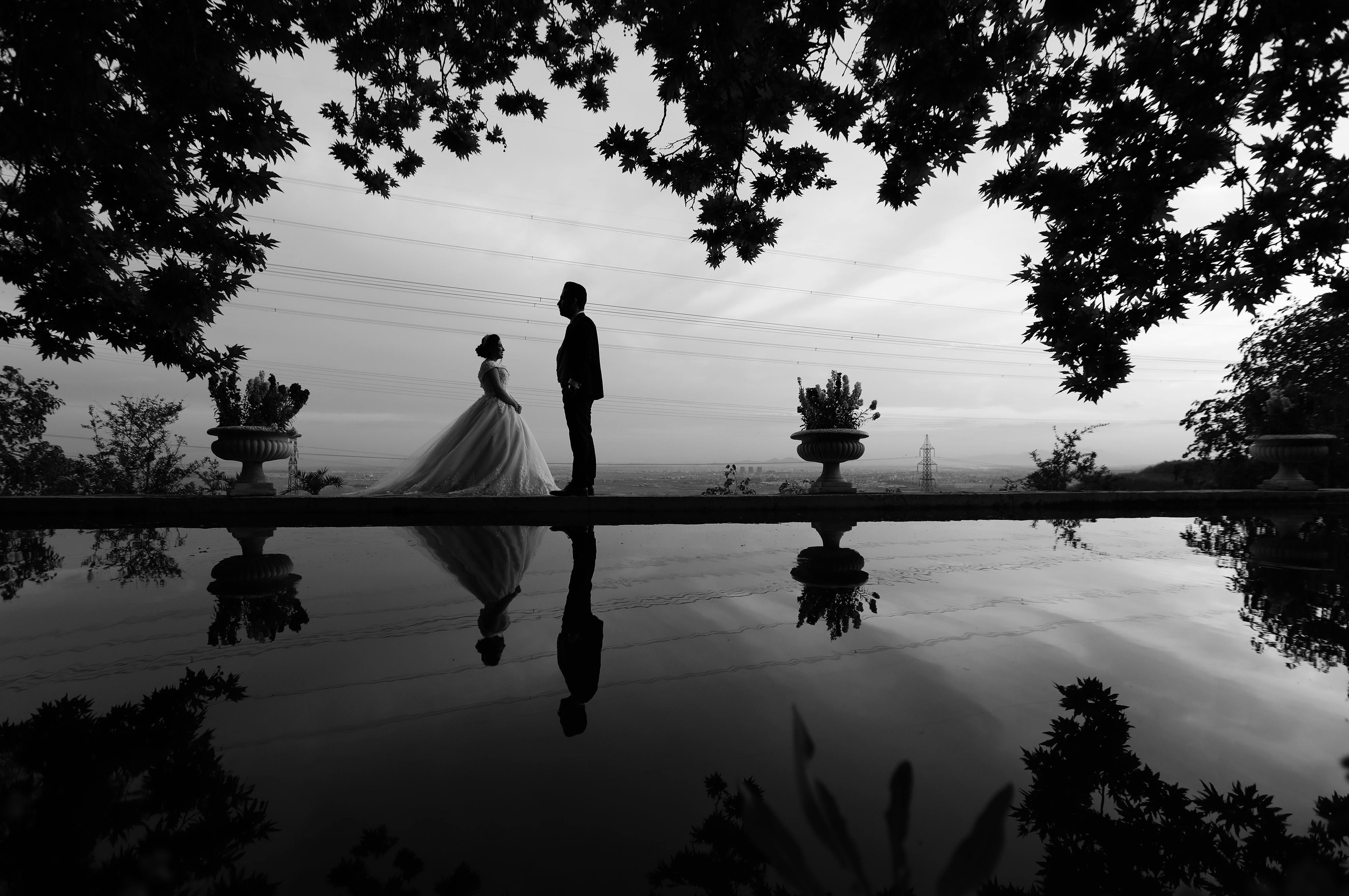 grayscale photo of bride and groom facing each other standing by body of water