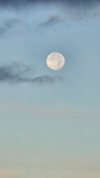 pale moonlight night sky