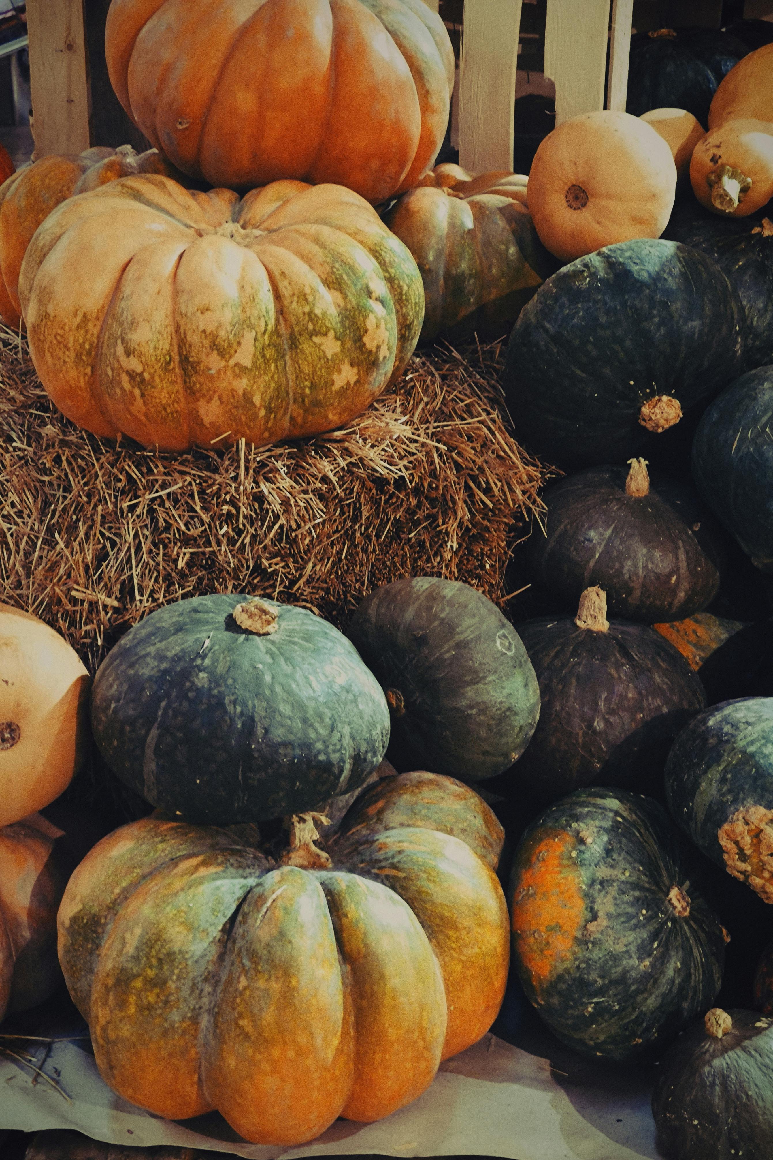 Assorted pumpkins on hay bales, capturing the essence of fall in Friuli-Venezia Giulia, Italy.