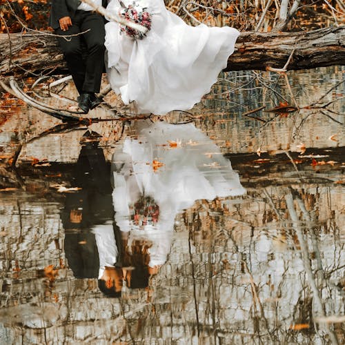 Pengantin Wanita Dan Pria Duduk Di Pohon Tumbang Di Atas Perairan