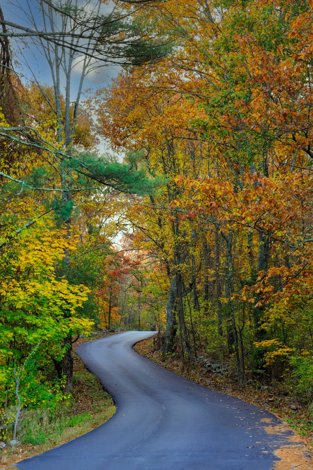 Scenic Autumn Road Through Colorful Foliage · Free Stock Photo