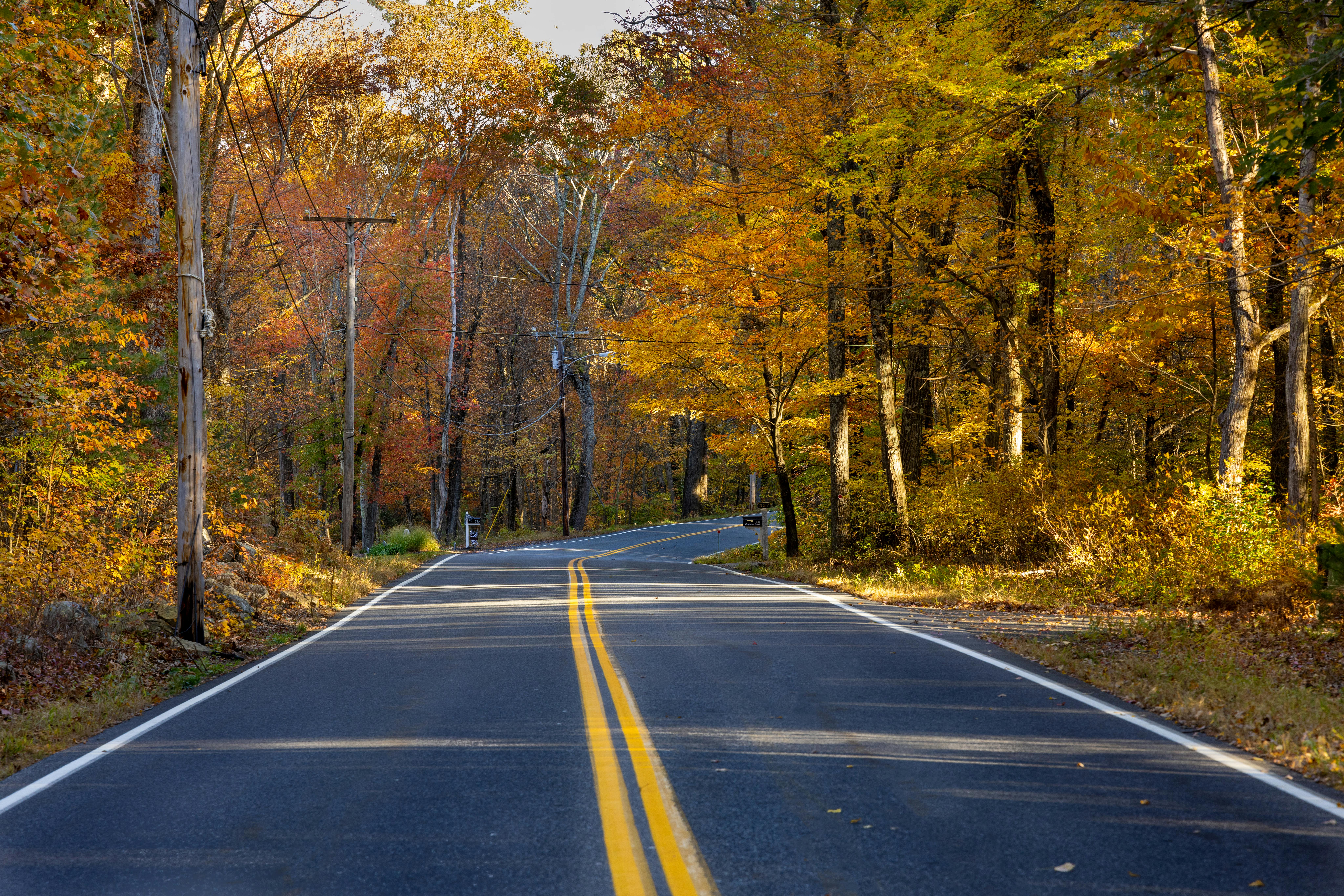 A beautiful road winding through a vibrant autumn forest in Upton, Massachusetts.