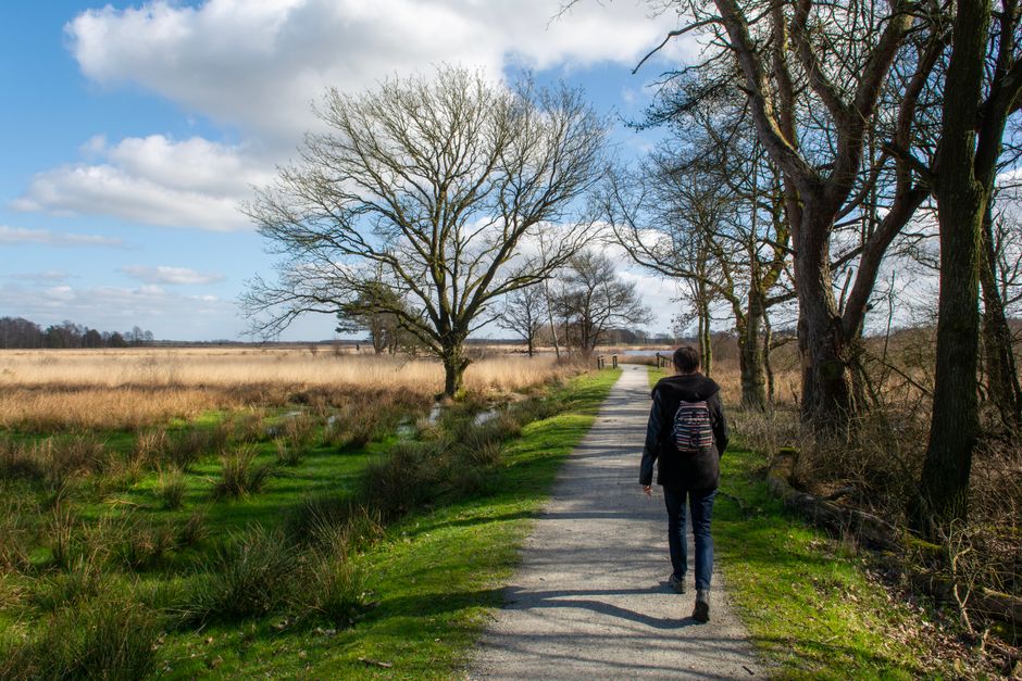Person walking outdoors focusing mindfully on natural surroundings Person walking outdoors focusing mindfully on natural surroundings