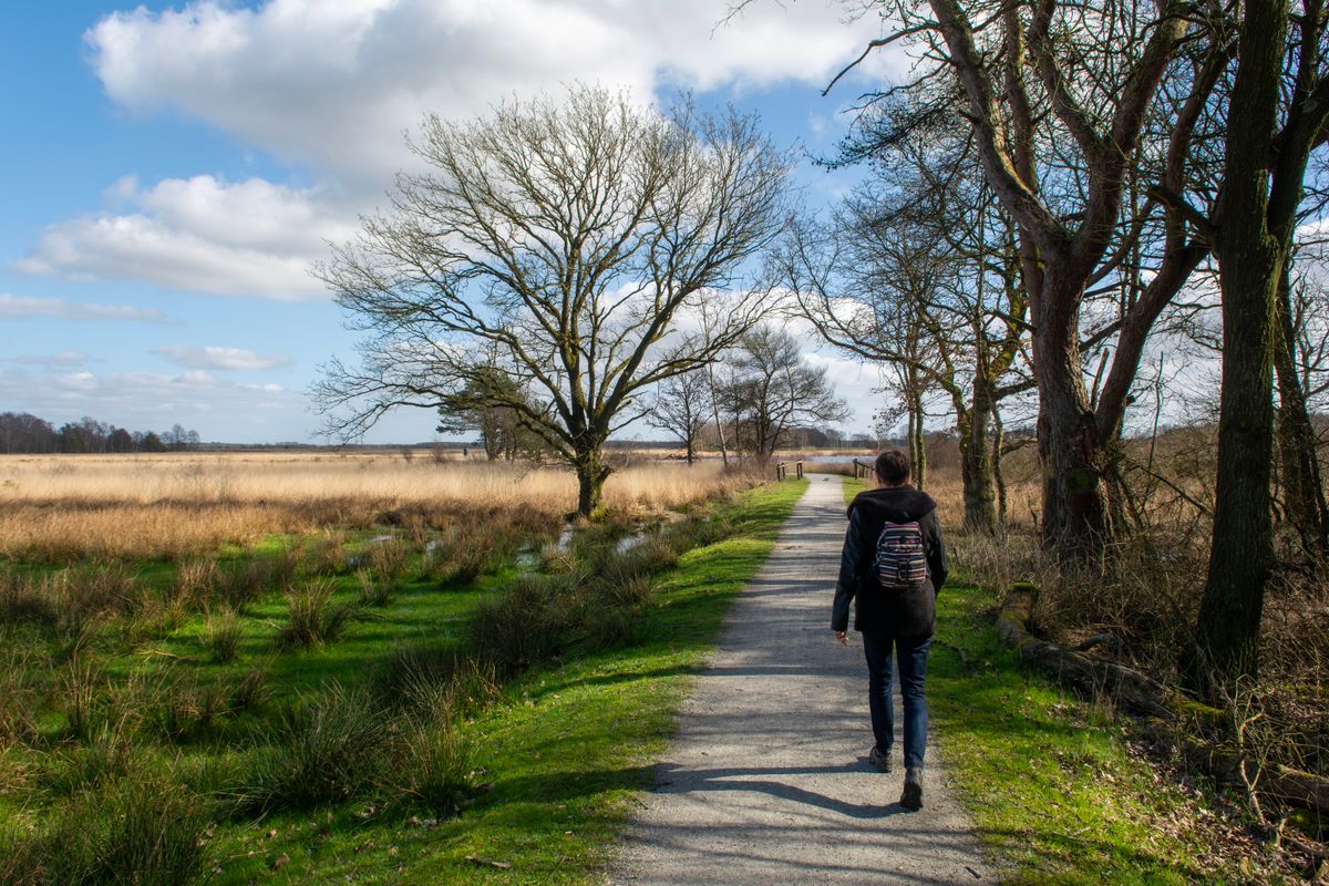 Person walking peacefully outdoors away from technology