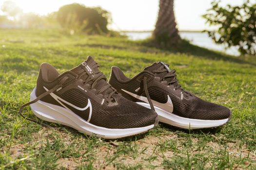 Pair of black running shoes placed on grass in a sunny outdoor setting.