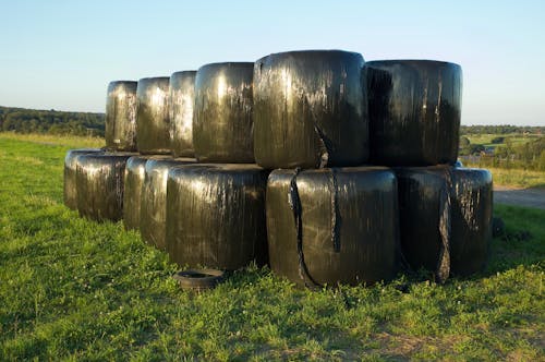 Bales of Hay Wrapped in Foil Left in Field