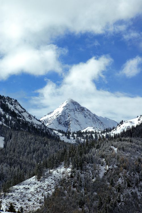 Free Breathtaking view of a snow-covered mountain peak under a bright blue sky. Stock Photo