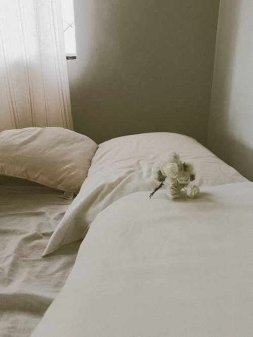 Free A serene bedroom scene with soft pillows and white flowers on a bed, bathed in gentle natural light. Stock Photo