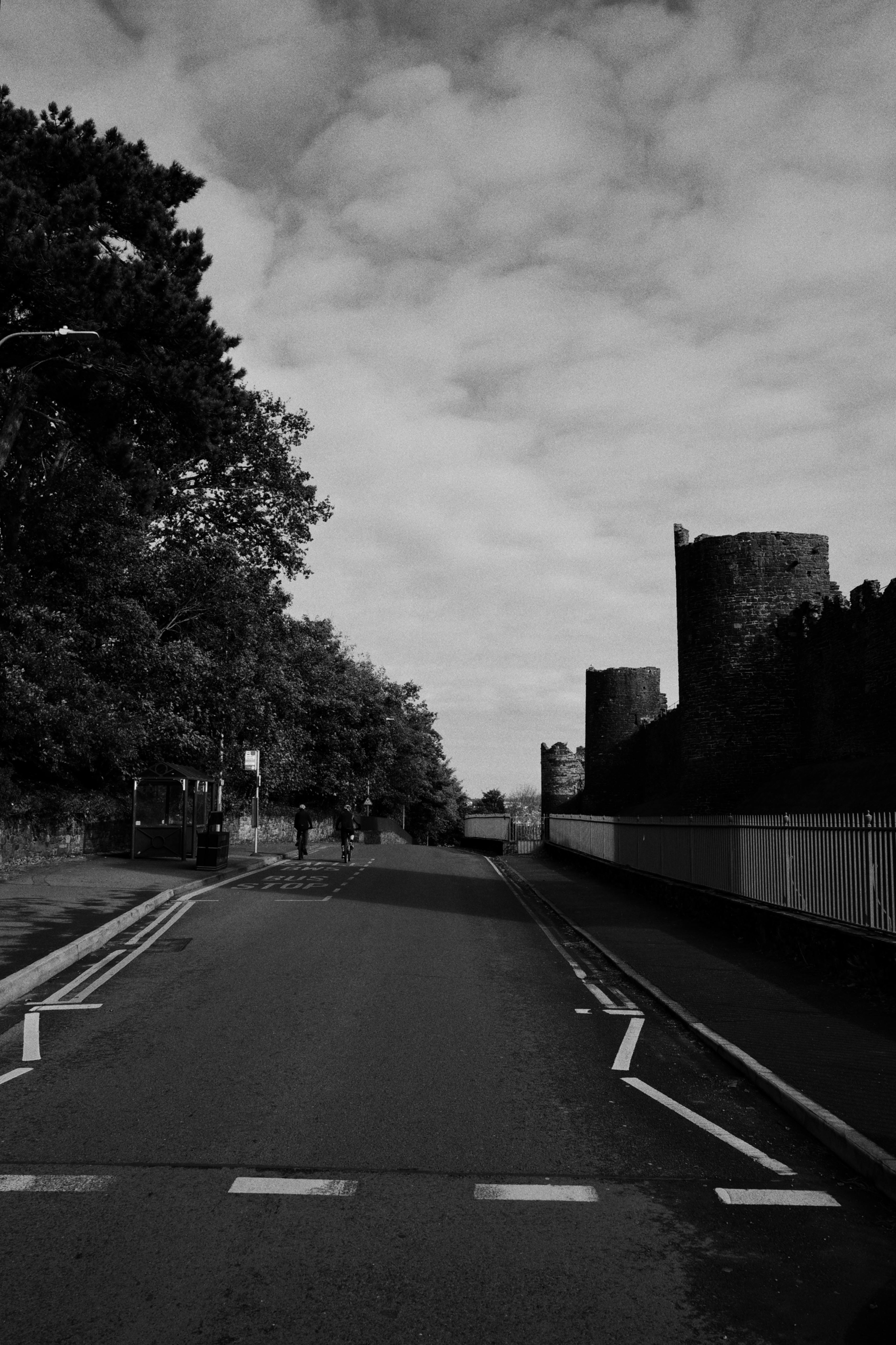 Moody black and white photo of a road lined with castle walls and trees.
