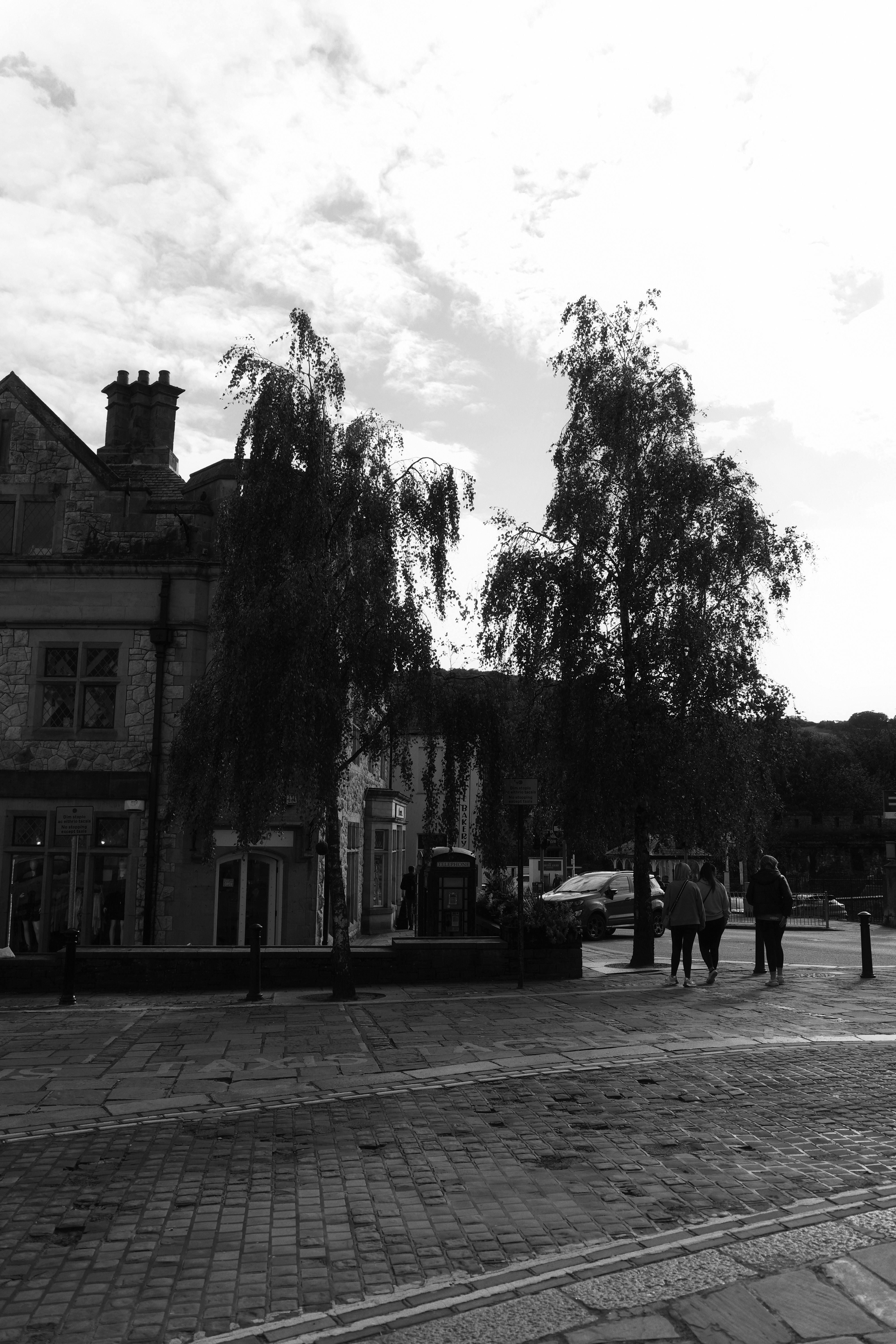 Moody black and white street view with trees and historic architecture.
