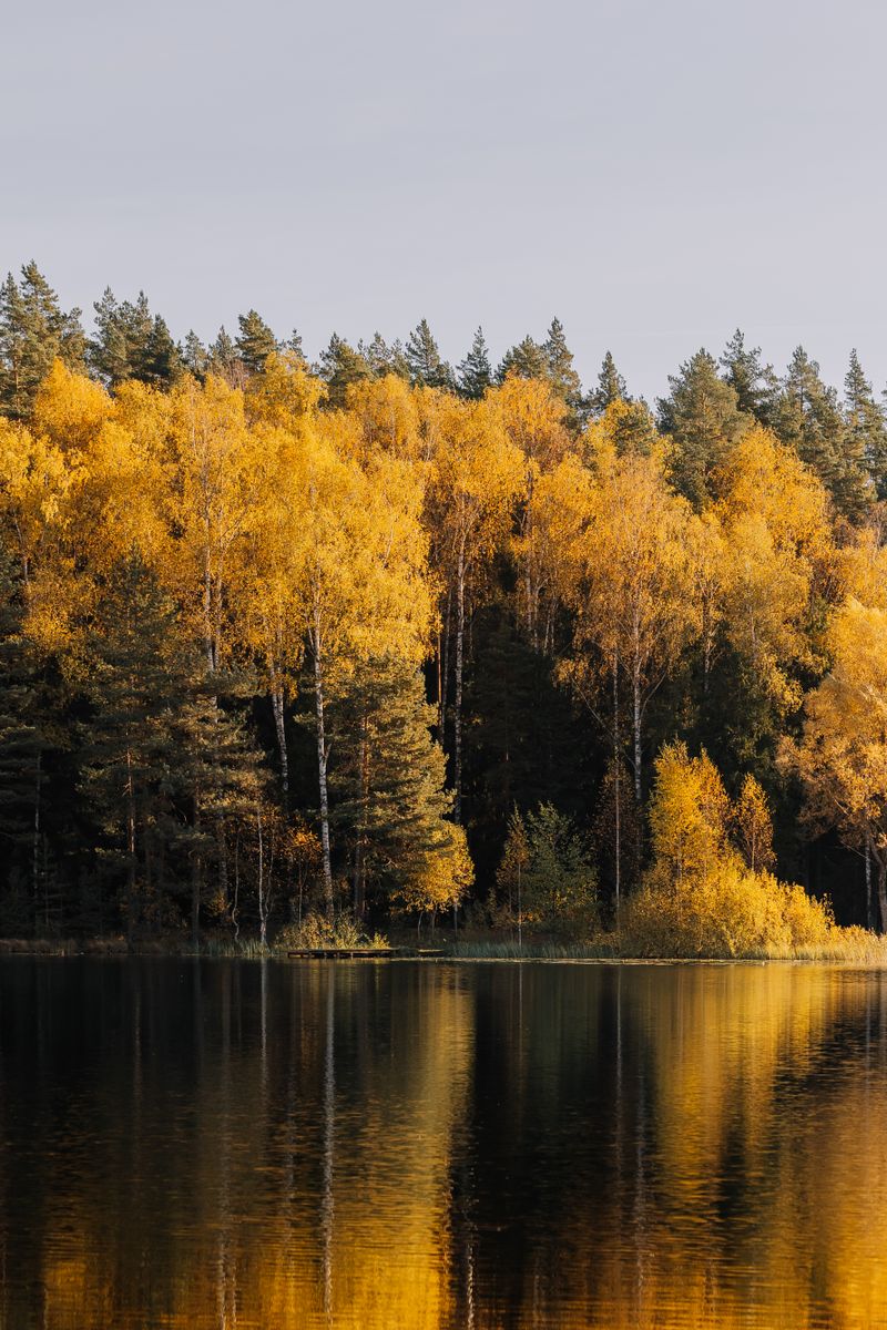 Tranquil Autumn Lake with Colorful Reflections · Free Stock Photo
