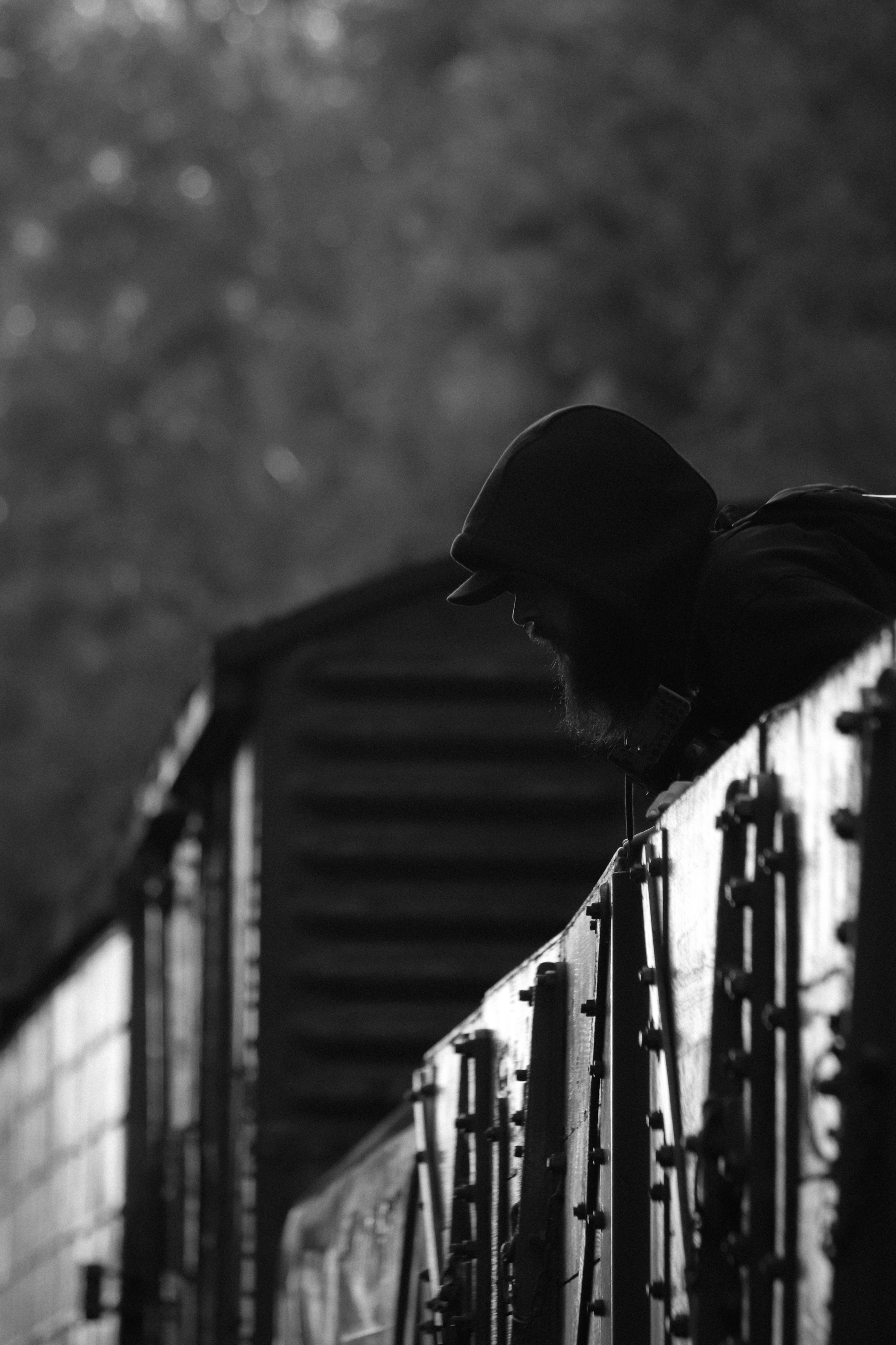 Silhouette of Person on Train in Motion · Free Stock Photo