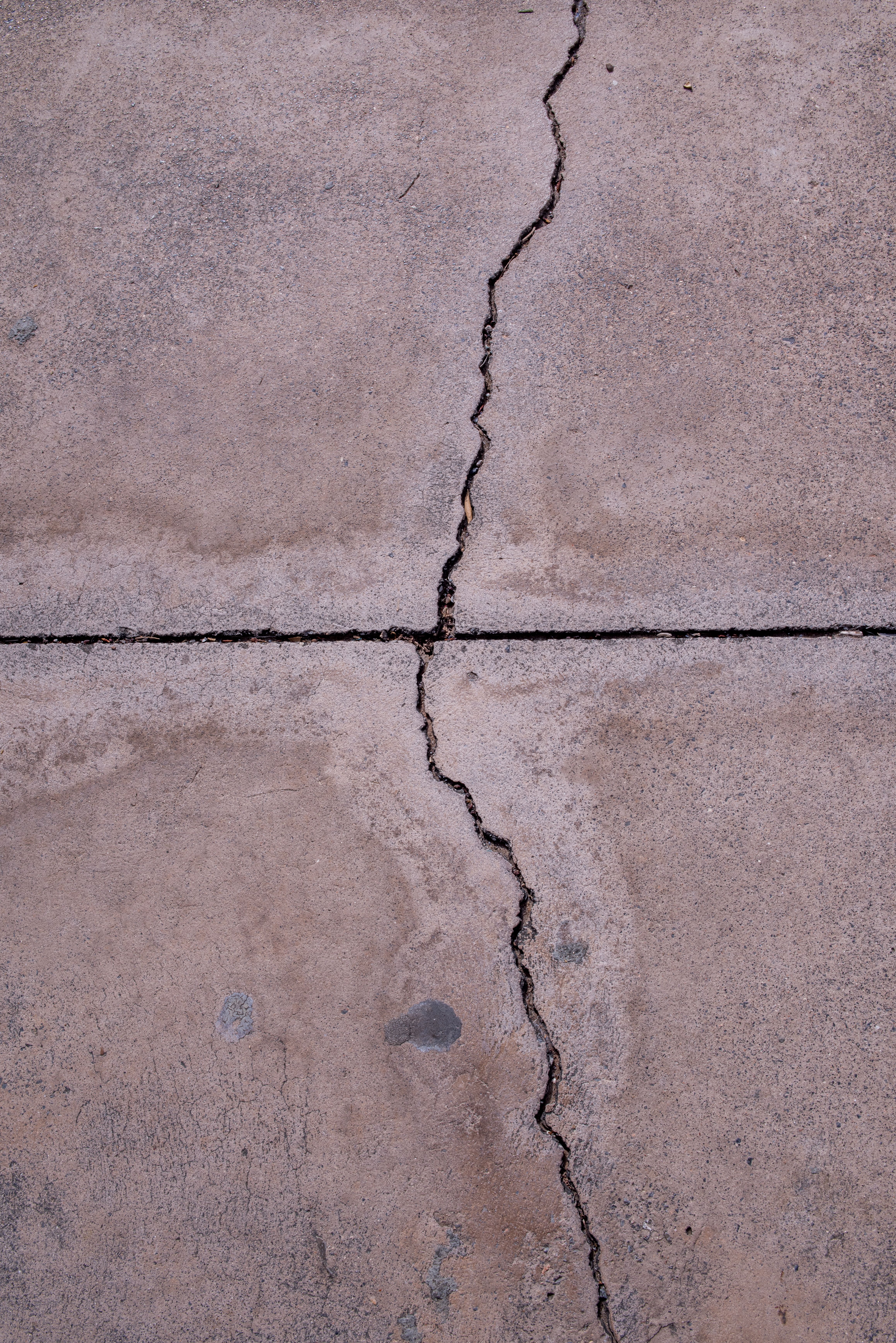 Close-up view of a cracked concrete surface showcasing natural texture and weathered appearance.