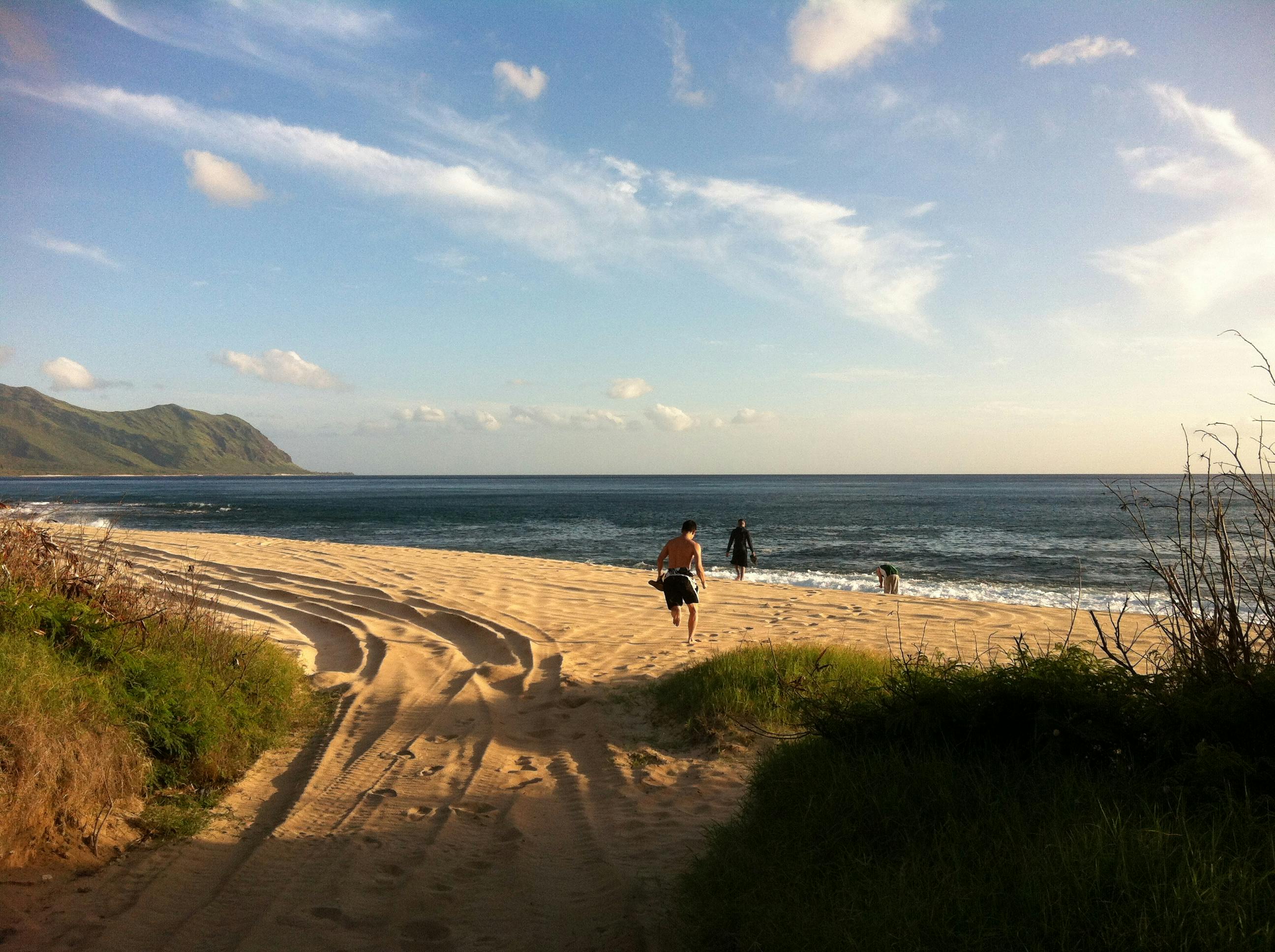 Surfers enjoying a serene beach in Hawaii at sunset, with beautiful ocean and sky views.
