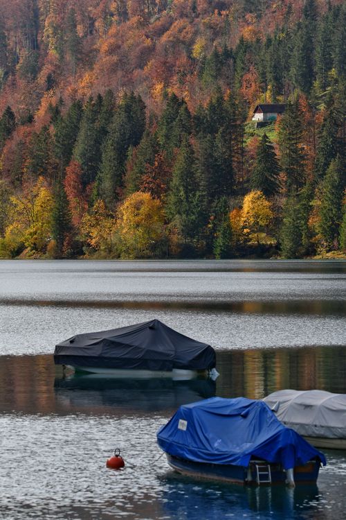 Free Peaceful lake view with forest and covered boats in autumn. Stock Photo