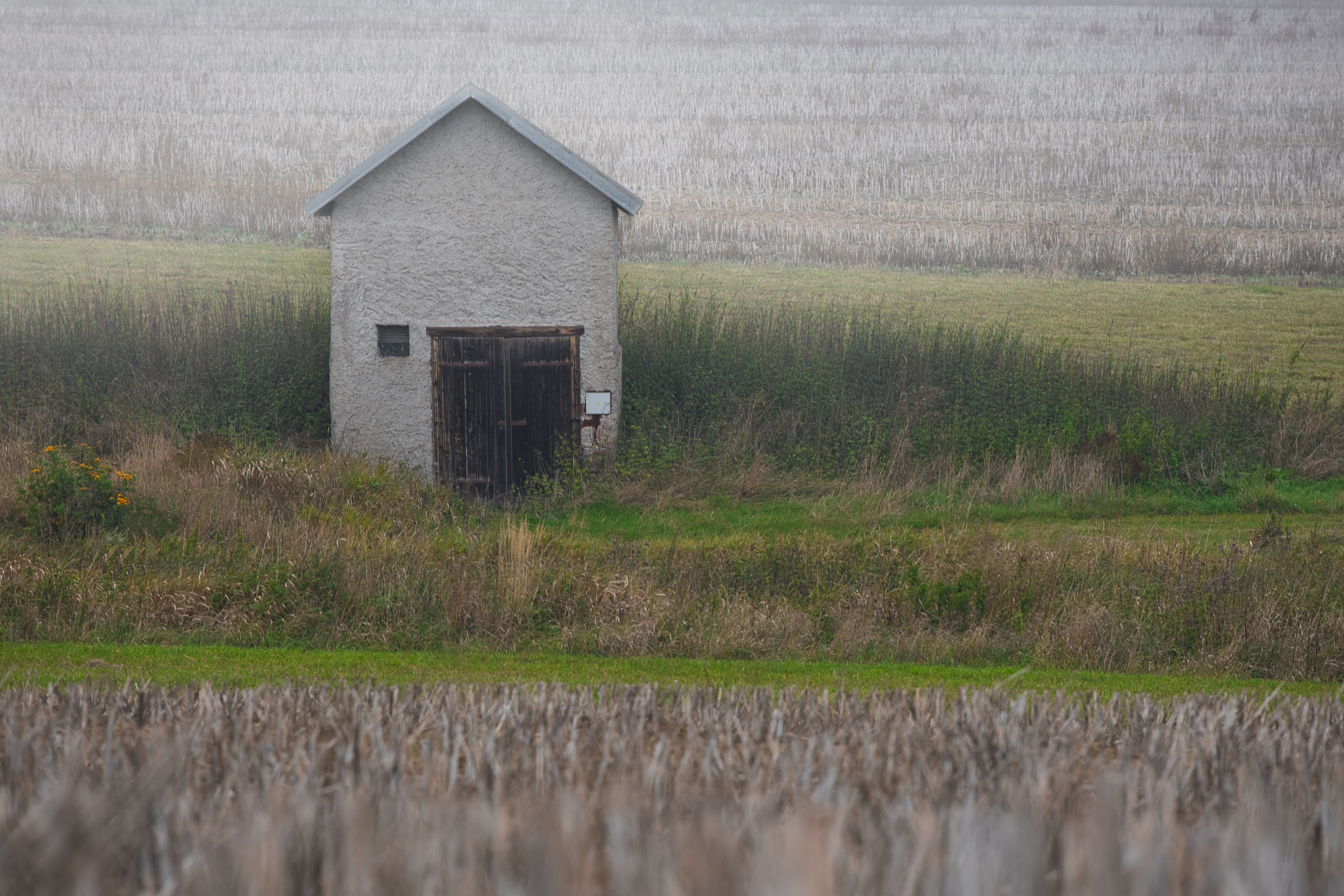 Rural Shed in Misty Field Landscape · Free Stock Photo