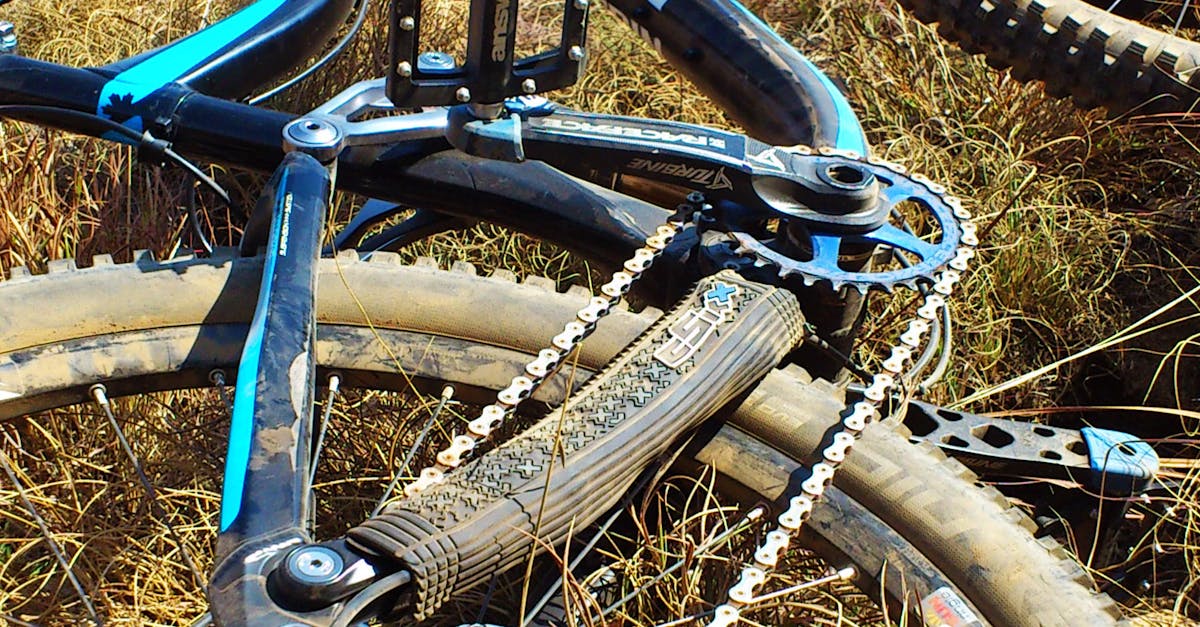 Free stock photo of bicycle, bike, downhill