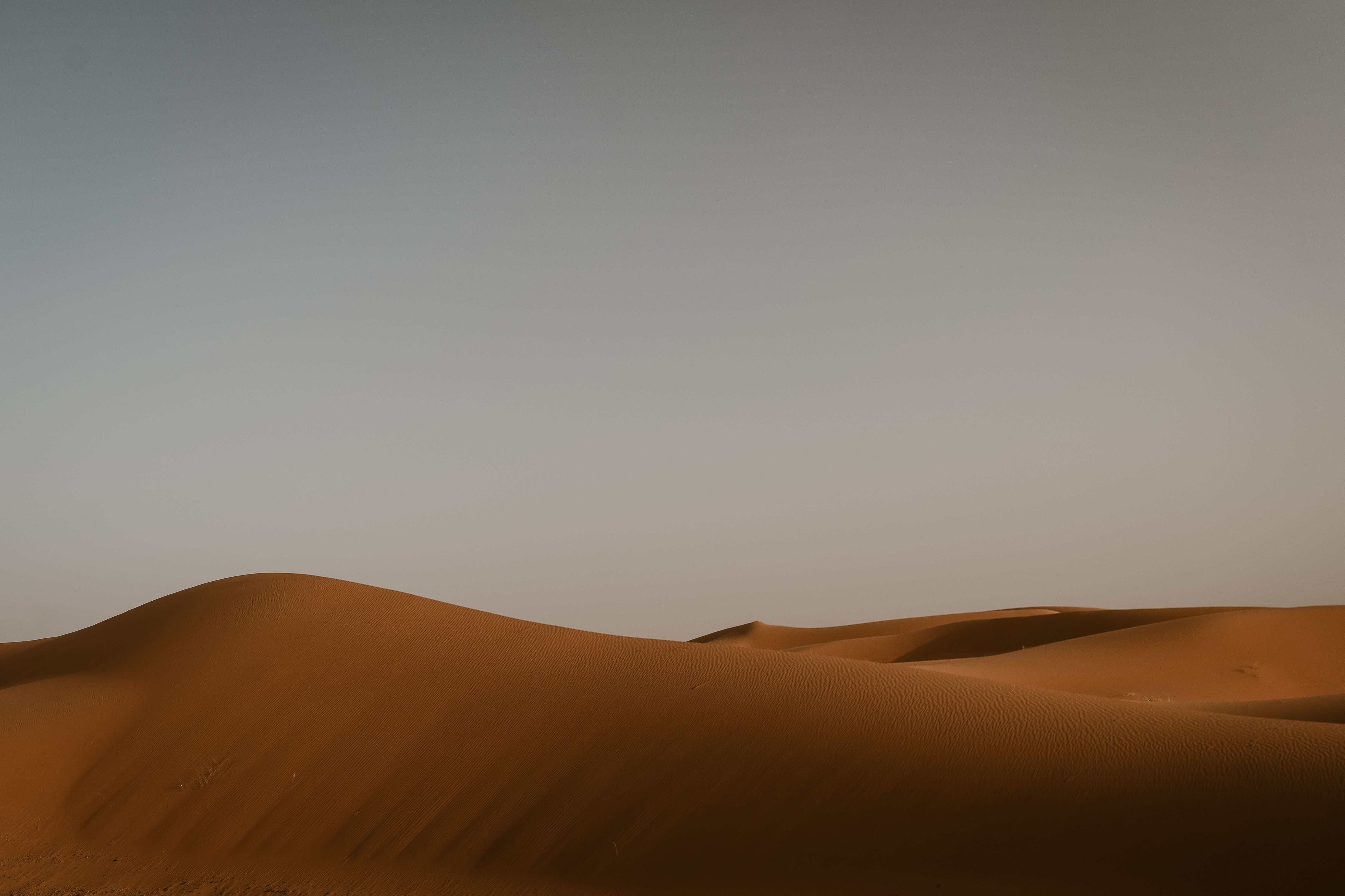 Serene sand dunes