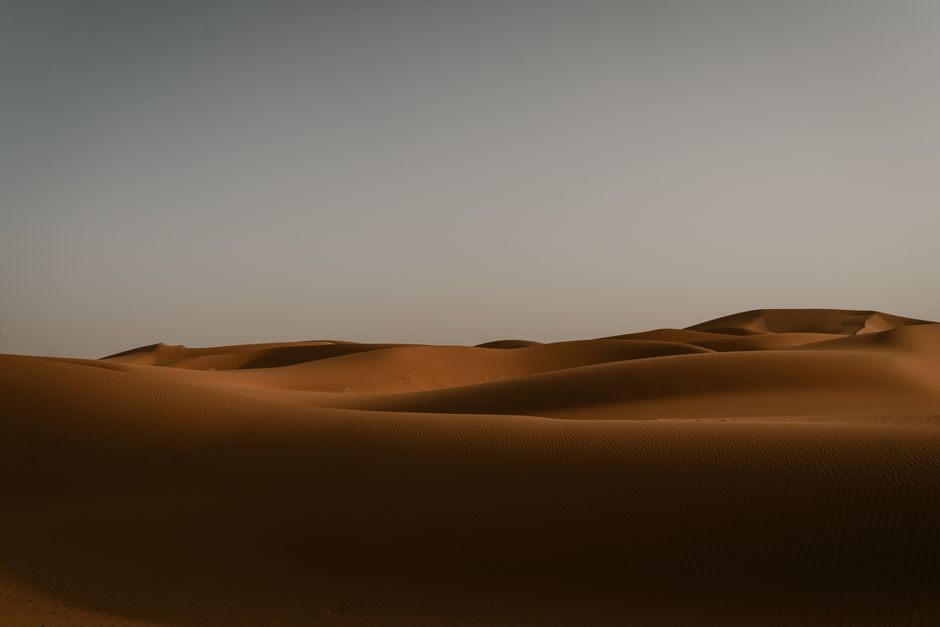 Otra foto de Valle del Draa