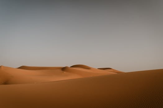 Serene view of the golden sand dunes under a clear sky in the Sahara Desert, Merzouga.