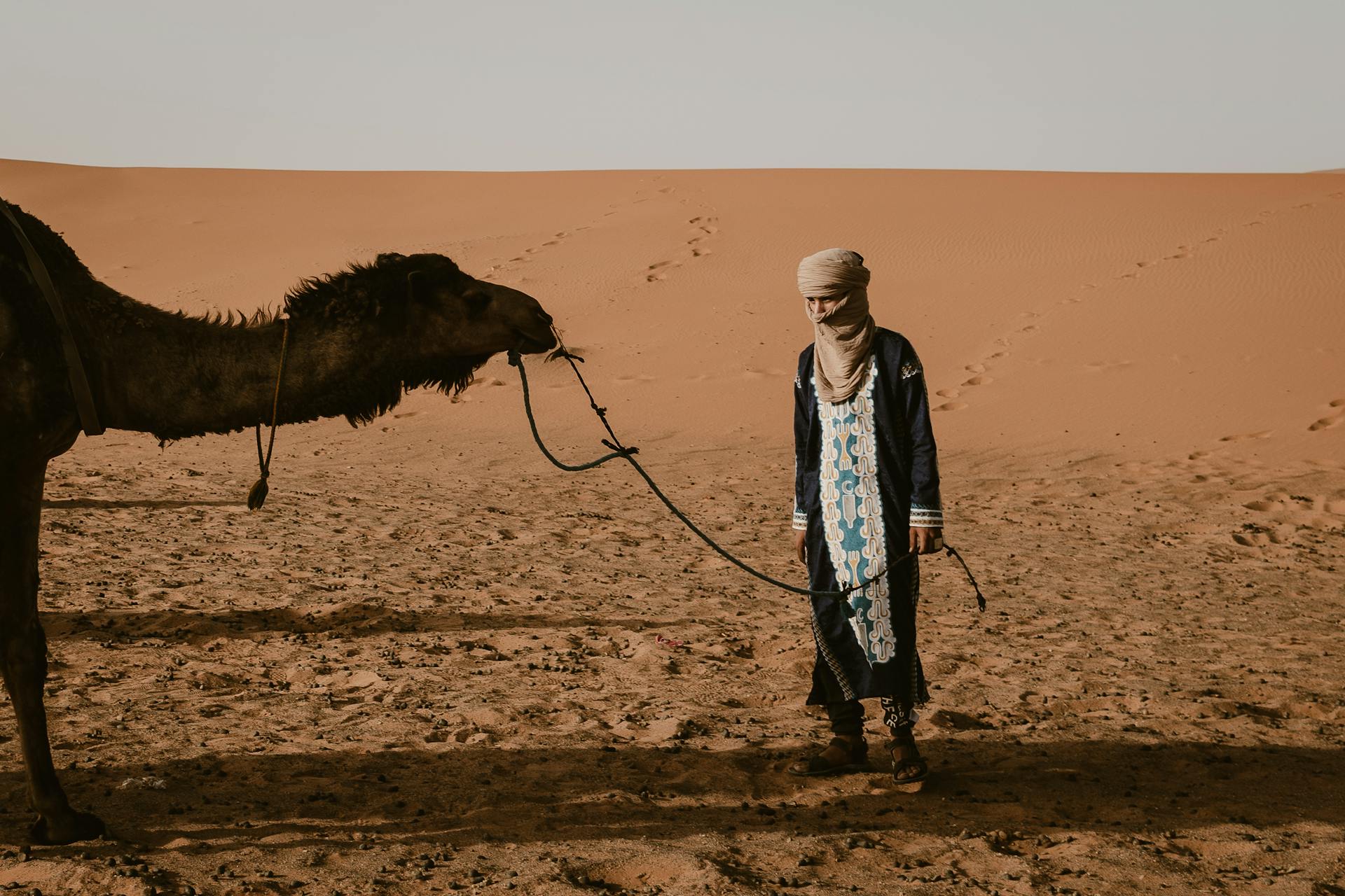 Man with Camel in the Sahara Desert