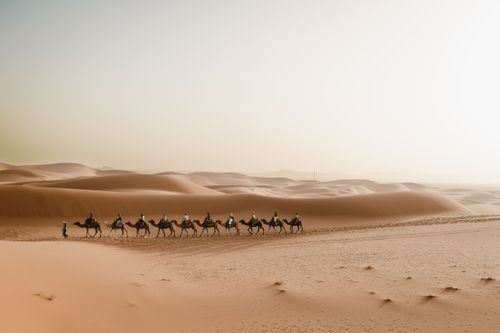 Free A picturesque camel caravan journey through Merzouga dunes in the Sahara Desert, Morocco. Stock Photo