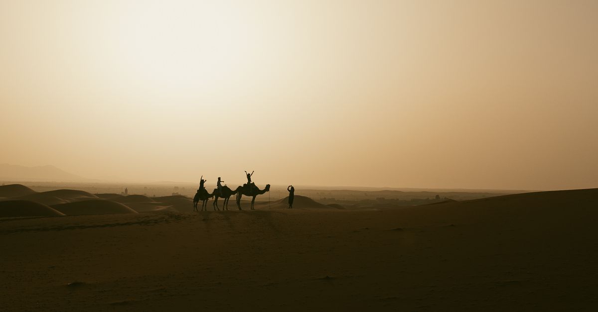 Silhouette of camel caravan trekking across golden dunes at sunset in Merzouga, Erg Chebbi, Sahara Desert — the defining moment of the 3 day tour to Merzouga ending in Fes