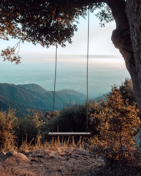 宁静的风景中，树木上挂着秋千，背景是山脉