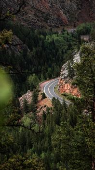 A winding road cutting through dense evergreen forest in Colorado, USA, showcasing natural beauty.