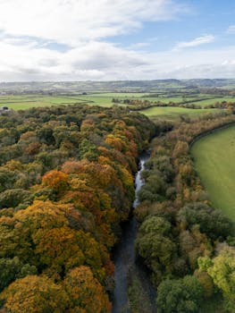 Breathtaking autumn aerial view of Jenkinstown Park, Ireland with vibrant foliage and sweeping landscapes.