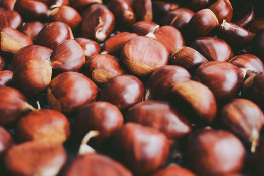 dark red brown chestnuts