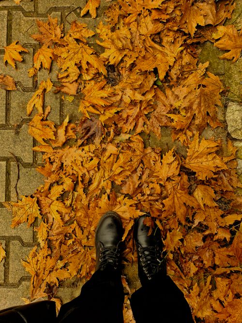 Free Black boots stepping on autumn leaves scattered on a brick sidewalk. Stock Photo