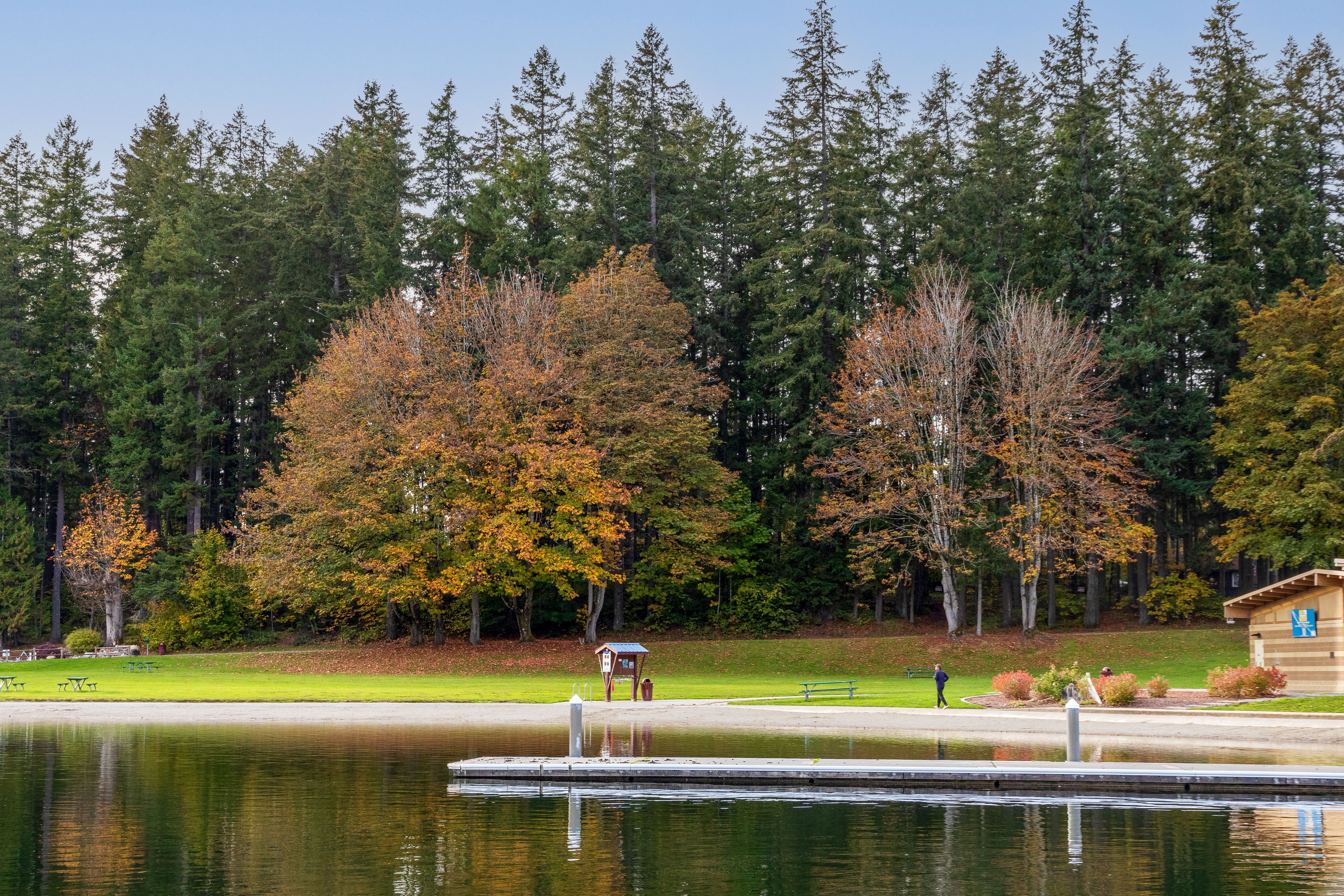 DNR Highlights Accessible Outdoor Options For Universal Recreation Month — Photo by William Jacobs on Pexels