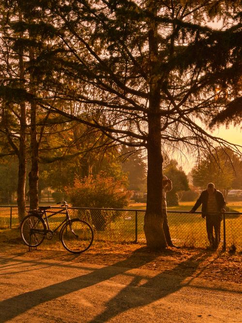 Free A tranquil park scene at golden hour with two silhouetted figures and a bicycle under a tree. Stock Photo